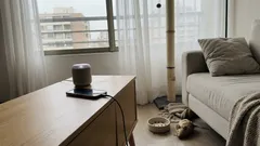 Música para gatos: cómo ayudar a que tu gato se calme cuando se queda solo